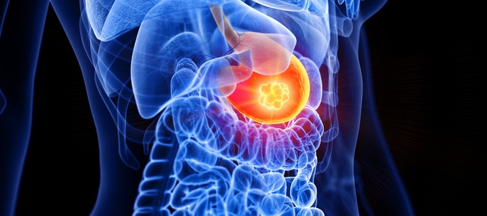 crop,h_426,w_960,x_0,y_578